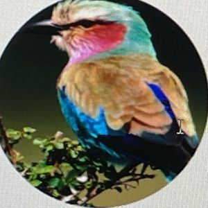 Meet your Posher, Cheryle